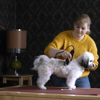 Moser Schermaschine REX – Bild 2