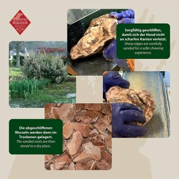 ChronoBalance Kauwurzel Für Hunde Baumheide 400 G – Bild 3