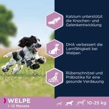 EUKANUBA Puppy Medium Breed Chicken 15 Kg – Bild 2
