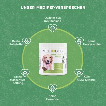 MediDog Darm Aktiv Drops – Bild 4