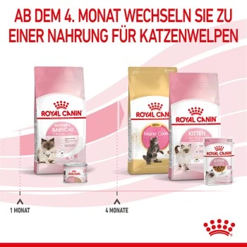 ROYAL CANIN Mother & Babycat 2 Kg â Bild 4