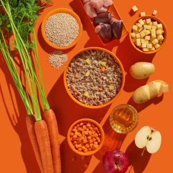 Fred & Felia FRED 10x390g Pute Mit Kartoffeln – Bild 4