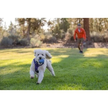 Ruffwear Huckama™ Spielzeug Violett – Bild 6