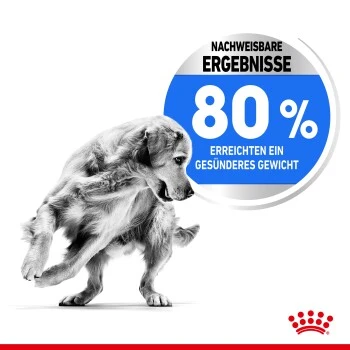 ROYAL CANIN Light Weight Care Medium 12 Kg – Bild 5