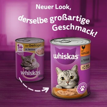 Whiskas Adult 1+ Terrine 12x400g Geflügel – Bild 3