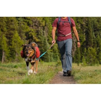 Ruffwear Flat Out™ Leine Blau/ Blau – Bild 9