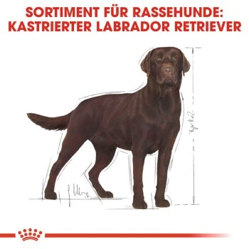 ROYAL CANIN Labrador Adult Sterilisiert 12 Kg – Bild 4