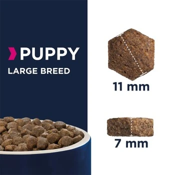 EUKANUBA Puppy Large Breed 15 Kg – Bild 2
