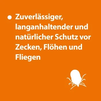 Ardap Zeckenspray Zur Anwendung Am Tier 250ml – Bild 2