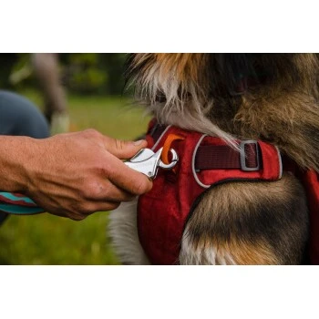 Ruffwear Flat Out™ Leine Blau/ Blau – Bild 8