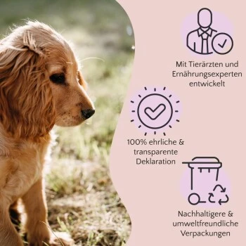 FAVLY Petfood Premium Naturkauartikel Rinderpansen 1,05 Kg – Bild 3