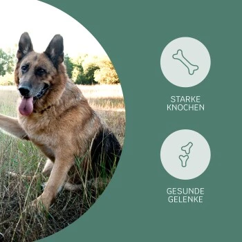 Mammaly Happy Hips 110g – Bild 3