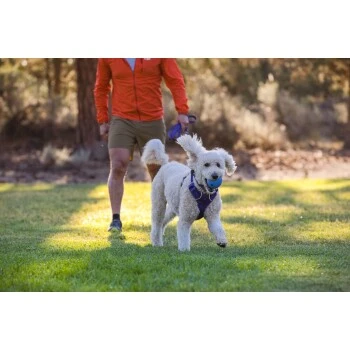 Ruffwear Huckama™ Spielzeug Violett – Bild 7