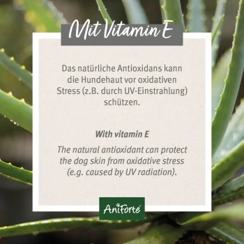 Aniforte Ohren-Reinigungspads Ohrenpflege Pads 100 Stück – Bild 2