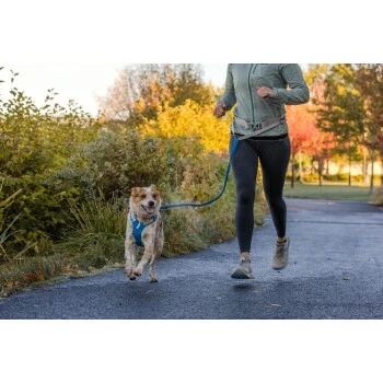Ruffwear Hi & Light™ Geschirr Blau XXXS – Bild 10