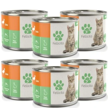 Fellicita Ente Pur 6 X 200g – Bild 2