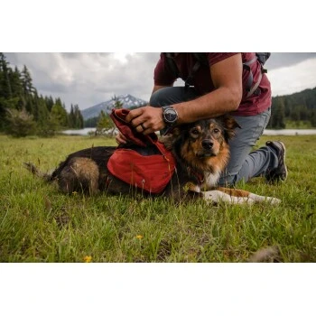 Ruffwear Front Range™ Hundetagesrucksack Rot XS – Bild 7