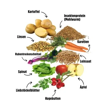 Eat Small EatSmall 2x10kg Mini Balance Trockenfutter – Bild 5