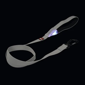 Dogs Creek Leuchtleine Polar Light – Bild 2