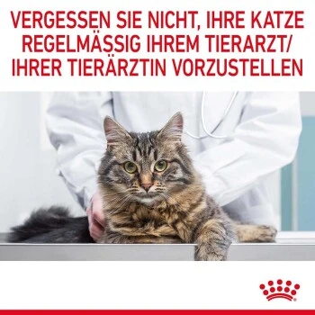 ROYAL CANIN Dental Care 3,5 Kg â Bild 2
