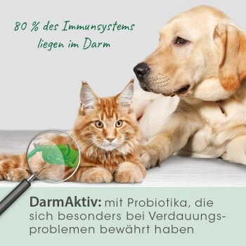 CdVet DarmAktiv Hund & Katze – Bild 2