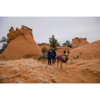 Ruffwear Overcoat Fuse™ Hundejacke Violett XXS – Bild 11