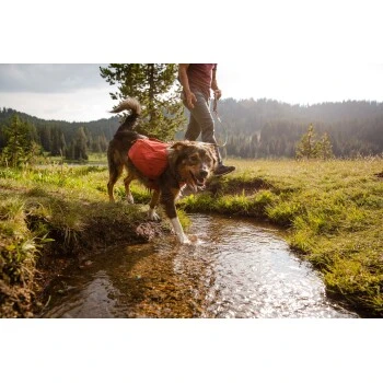 Ruffwear Front Range™ Hundetagesrucksack Rot XS – Bild 9