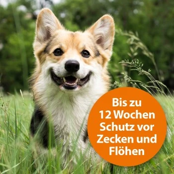 Ardap Spot-On Für Hunde M – Bild 3