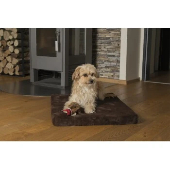 TrendPet VitaMedog Orthopädische 5 Cm Matratze Braun XS – Bild 4