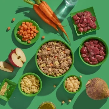 Fred & Felia FRED 10x390g Hirsch & Wildschwein Mit Hirse â Bild 4