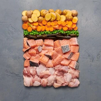 Irish Pure 12x Nassfutter Atlantik-Lachs – Bild 3