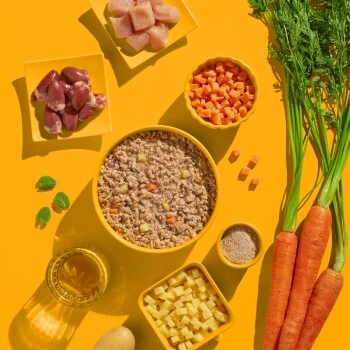 Fred & Felia FELIA 10x200g Huhn – Bild 4