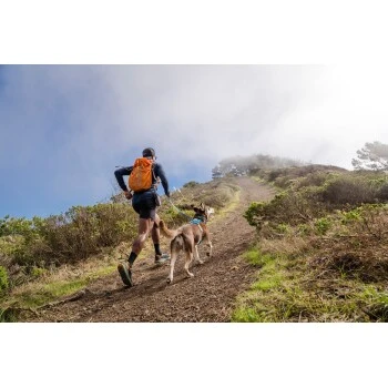 Ruffwear Hi & Light™ Geschirr Blau XXXS – Bild 9