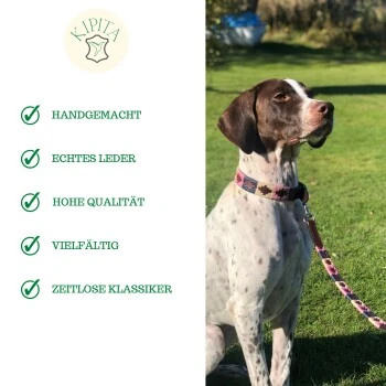 Kipita Polo Hundeleine Rainbow – Bild 6