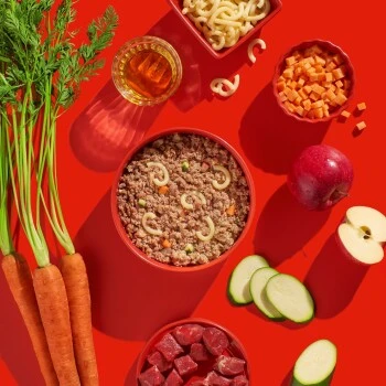 Fred & Felia FRED 10x390g Rind Mit Nudeln – Bild 4