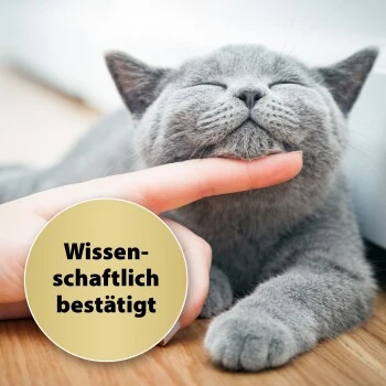 Felisept Home Comfort Beruhigungshalsband Für Katzen – Bild 5