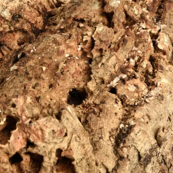 HappyBird Kork Sitzbrett XL â Bild 5