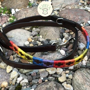 Kipita Polo Hundeleine Rainbow – Bild 2