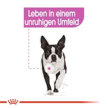 ROYAL CANIN Relax Care Mini 3 Kg – Bild 7