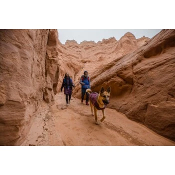 Ruffwear Overcoat Fuse™ Hundejacke Violett XXS – Bild 9