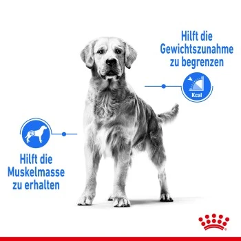 ROYAL CANIN Light Weight Care Medium 12 Kg – Bild 6