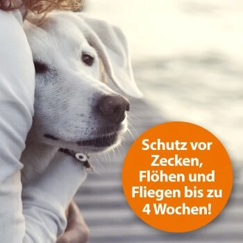 Ardap Zeckenspray Zur Anwendung Am Tier 250ml – Bild 5