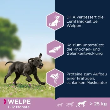 EUKANUBA Puppy Large Breed 15 Kg – Bild 5