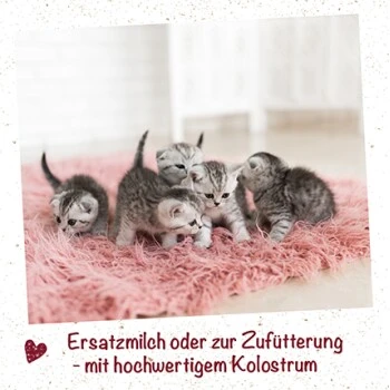 FeliTATZ Kittenmilch 350g 90 G â Bild 2