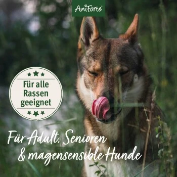 Aniforte Trockenfutter LandChicken - Zartes Huhn Mit Reis 2 Kg – Bild 3