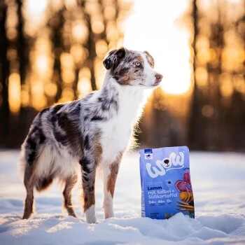 WOW Adult Lamm Mit Salbei 6 Kg â Bild 2