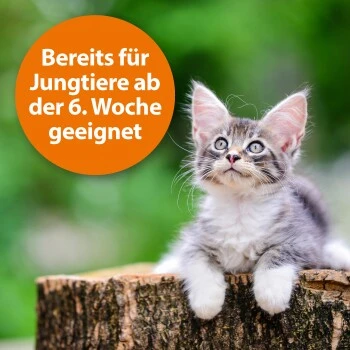 Ardap Zecken- Und Flohpuder 150g – Bild 4