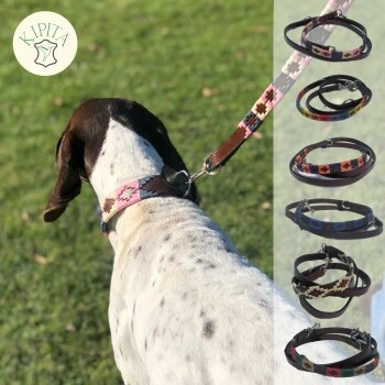 Kipita Polo Hundeleine Rainbow – Bild 4