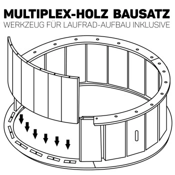 Canadian Cat Company Katzenlaufrad Aus Holz L Schwarz â Bild 9