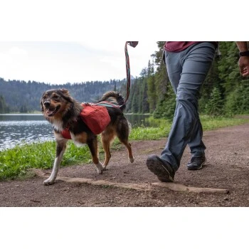 Ruffwear Front Range™ Hundetagesrucksack Rot XS – Bild 8